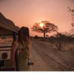 xx Safari Squad xx