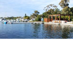 Toronto | New South Wales