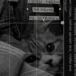 Cute ############