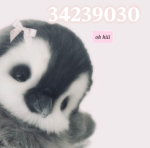 Penguinpaws