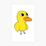 Ducks Look awesome