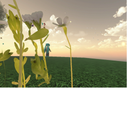 Watch the sunset on a stranded island with Miku...