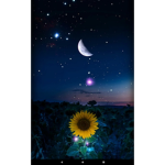 Siamo delle Lune delle stelle e anche un sole