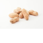 da tic tac squad