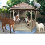 Goat Gazebo