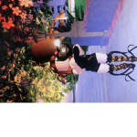 Coco_nuts