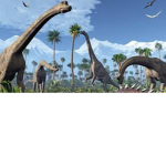 DINOSAUR ZOO... ###.