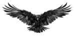 The_Raven_Empire
