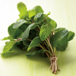 mint group+