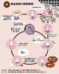 さわしゅん教 雑談グループ