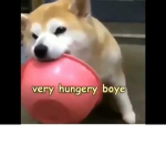 join if u love animals