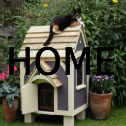 🐈Cat Town!🏠 |!REWORKED!|