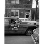 Anti-CPD49