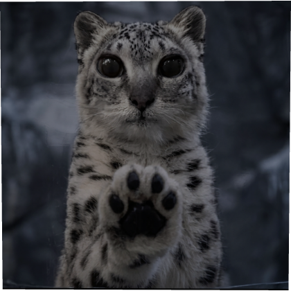 Snow leopard Mei Mei meme pfp