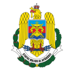 Rapid Intervention Detachment