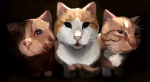 Fun Gamez Community