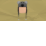 Canadian army faction