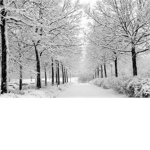 ❄WINTER MAGAZINE❄