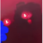 2478