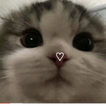 *the cute people*
