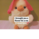 ᴅᴜᴄᴋʏᴅᴜᴍᴍɪ [<3]