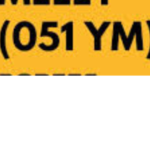 051 Young Money GDs