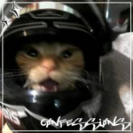 CØNFESSIØNS