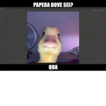 per i robux