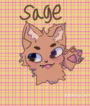 SagezWorld