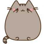 *Pusheen squad*