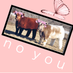 No you :)