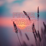 fever thrift store