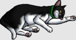 +CreekClan+