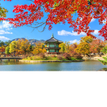 airKorean