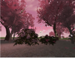 Sakura branch