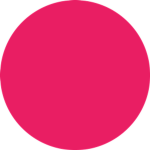 The pink rat