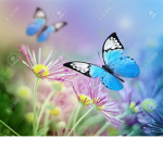 My Little Beautiful Butterflies! <3