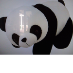 Pandy Official Group #Panda