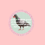 Stitchxz