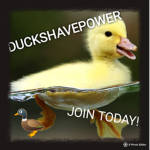 DucksHavePower