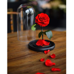 Rose For Life