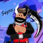 Developerzz
