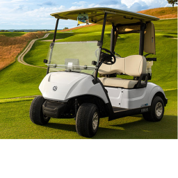 Get Certified as a Pro Golf Cart Driver