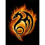 Flaming Dragon