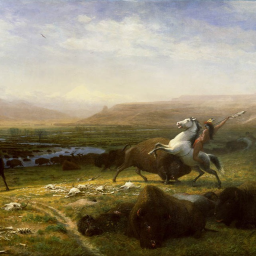 Untamed Frontiers