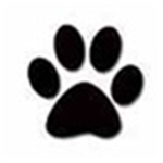 Northern Paws @PawNation