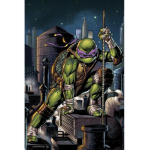 Official teenage mutant ninja turtle fan group