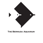The Bermuda Aquarium