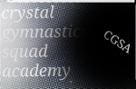 The crystal gymnastics academy
