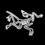 a_rcteryx